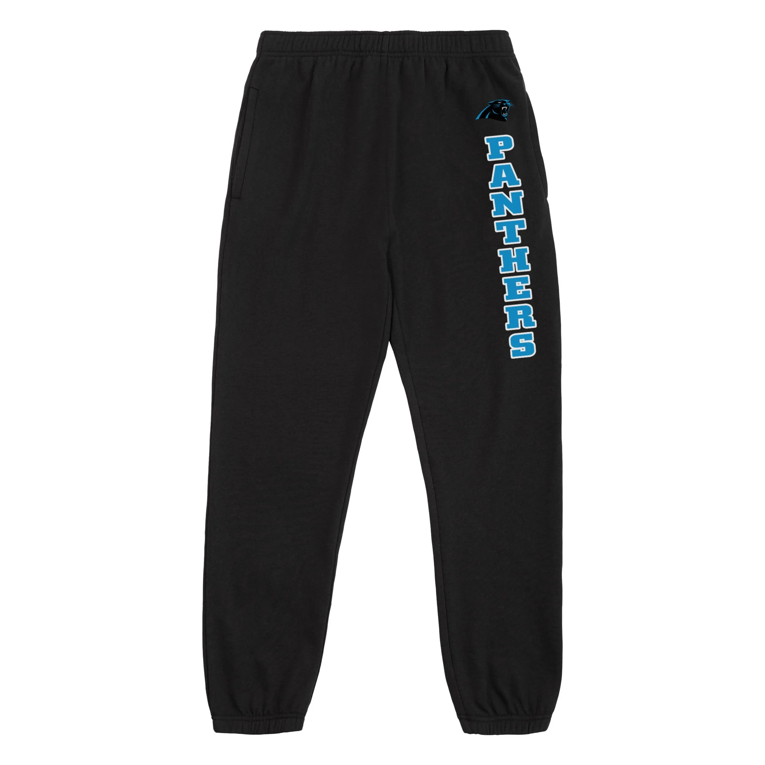 Carolina Panthers NFL Mens Team Color Sweatpants