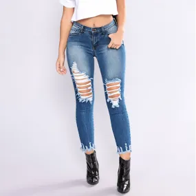 Women's Spring/Autumn High Waist Stretch Slim Ripped Jeans